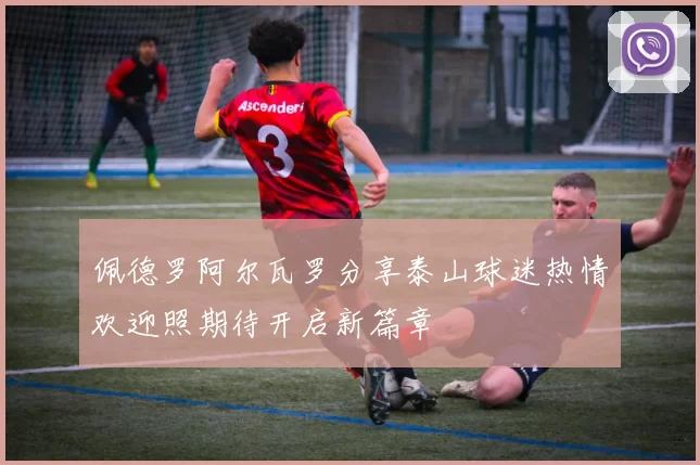 佩德罗阿尔瓦罗分享泰山球迷热情欢迎照期待开启新篇章