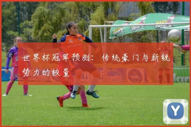 世界杯冠军预测：传统豪门与新锐势力的较量