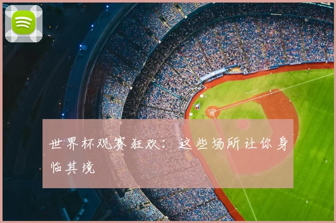 世界杯观赛狂欢:这些场所让你身临其境