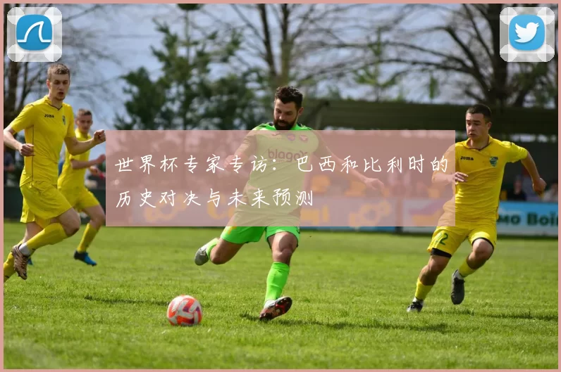 世界杯专家专访:巴西和比利时的历史对决与未来预测