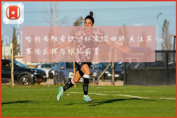 哈利洛维奇欧洲杯表现回顾 关注其赛场发挥与球队前景