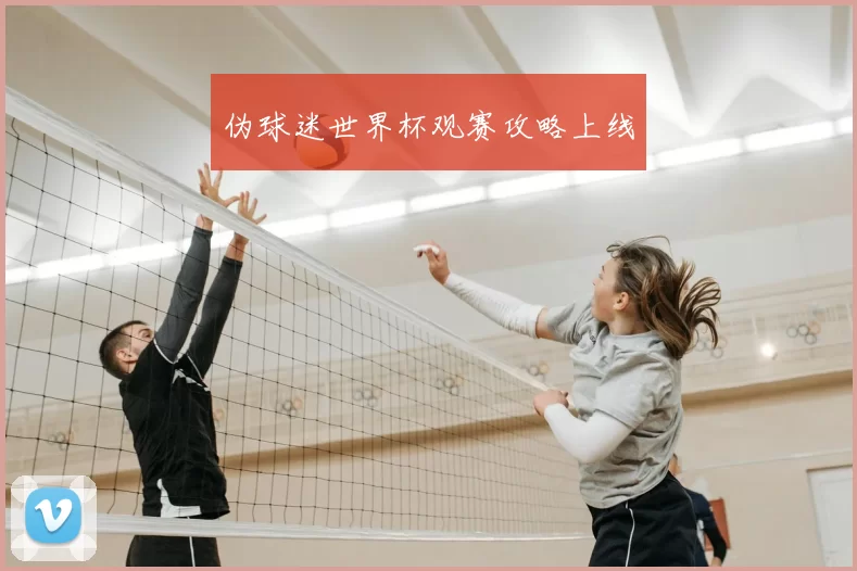 伪球迷世界杯观赛攻略上线