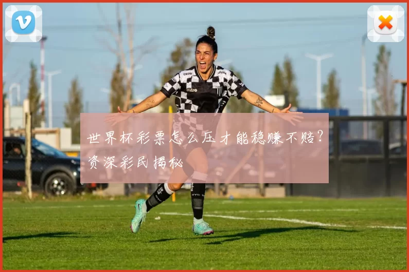 世界杯彩票怎么压才能稳赚不赔?资深彩民揭秘