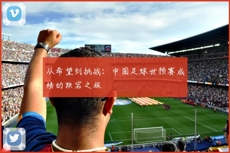 从希望到挑战：中国足球世预赛成绩的跌宕之旅