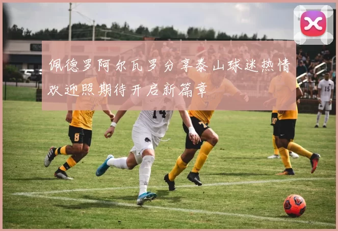 佩德罗阿尔瓦罗分享泰山球迷热情欢迎照期待开启新篇章