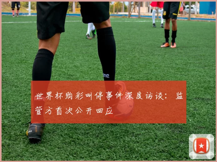 世界杯购彩叫停事件深度访谈：监管方首次公开回应
