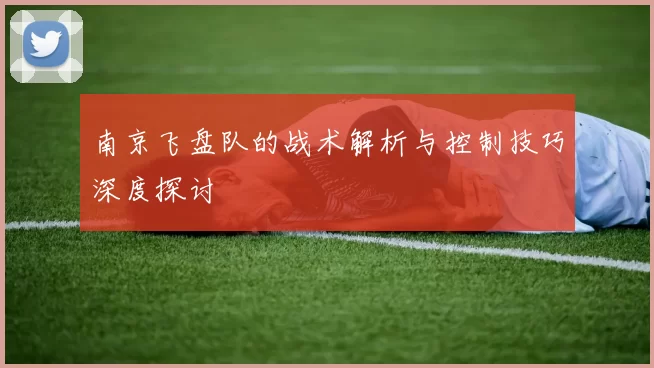 南京飞盘队的战术解析与控制技巧深度探讨