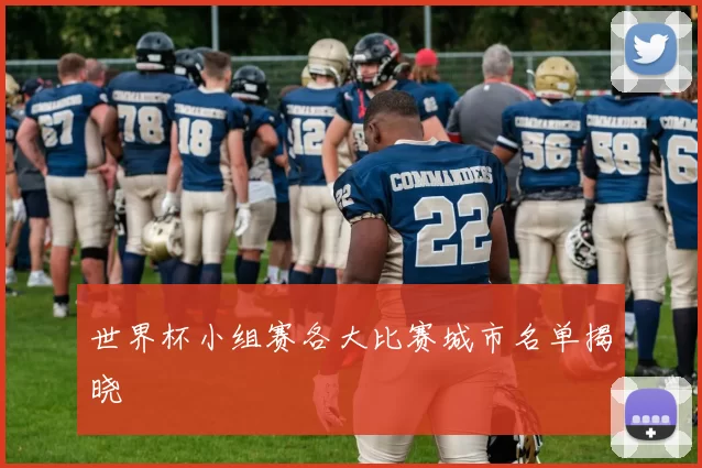 世界杯小组赛各大比赛城市名单揭晓
