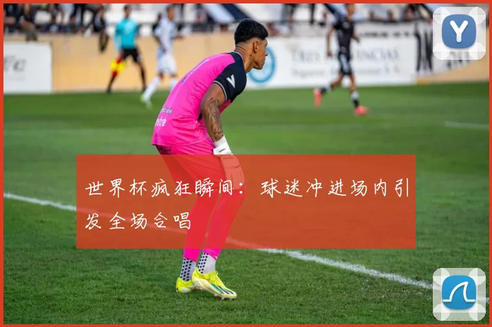 世界杯疯狂瞬间:球迷冲进场内引发全场合唱