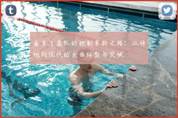 南京飞盘队的控制革新之路:从传统到现代的全面转型与突破