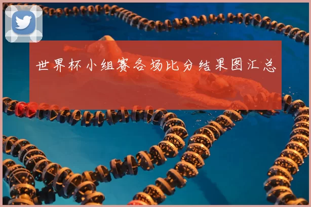 世界杯小组赛各场比分结果图汇总