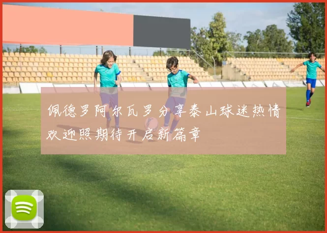 佩德罗阿尔瓦罗分享泰山球迷热情欢迎照期待开启新篇章