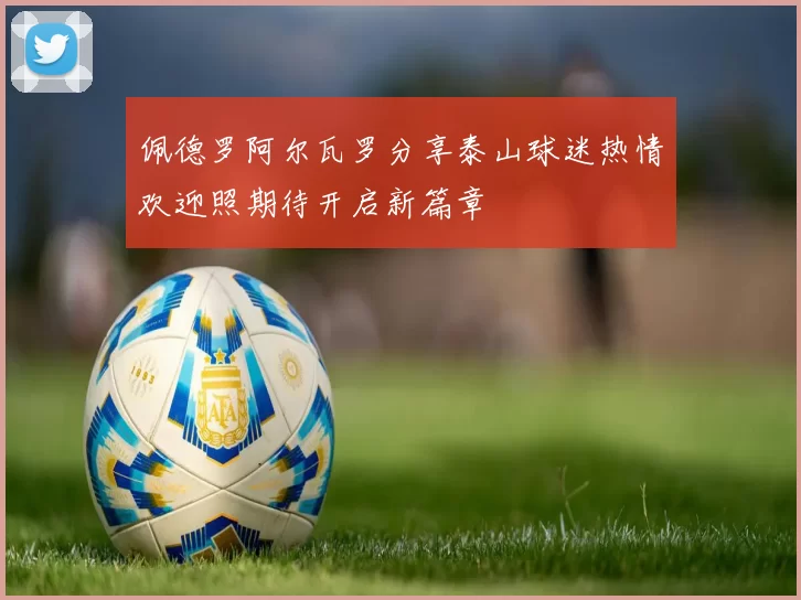 佩德罗阿尔瓦罗分享泰山球迷热情欢迎照期待开启新篇章