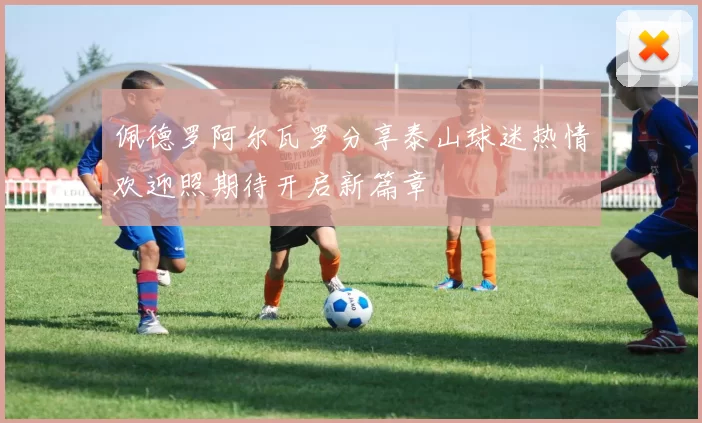 佩德罗阿尔瓦罗分享泰山球迷热情欢迎照期待开启新篇章