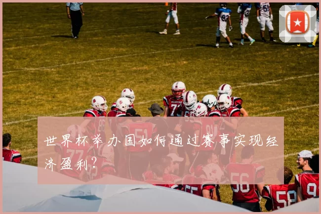 世界杯举办国如何通过赛事实现经济盈利?