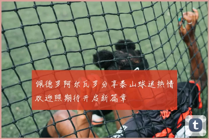 佩德罗阿尔瓦罗分享泰山球迷热情欢迎照期待开启新篇章