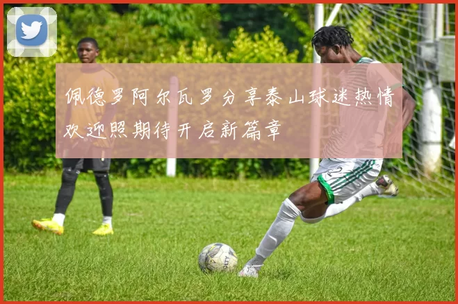 佩德罗阿尔瓦罗分享泰山球迷热情欢迎照期待开启新篇章