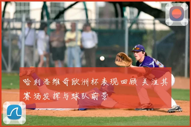 哈利洛维奇欧洲杯表现回顾 关注其赛场发挥与球队前景