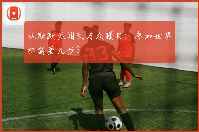 从默默无闻到万众瞩目：参加世界杯需要几步？